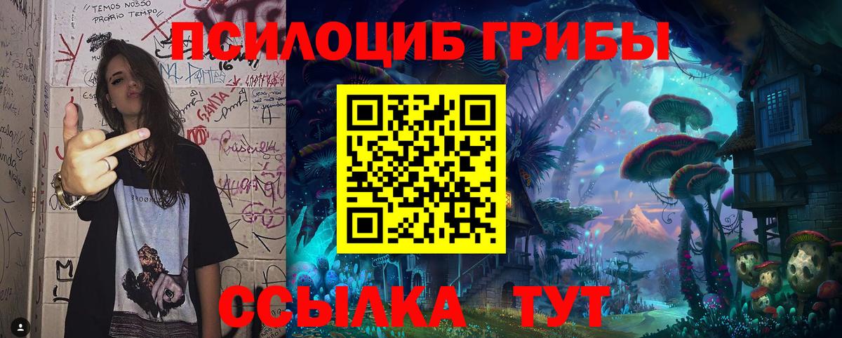Москва  Псилоцибиновые грибы Cubensis  Галлюциногенные грибы Psilocybe  Вход с VPN 
